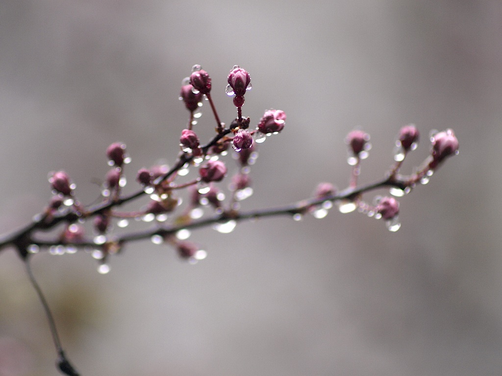 Nina Brigitte Eigenheer / Job-Coach und Mentorin